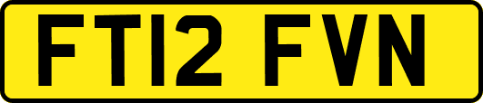 FT12FVN