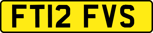 FT12FVS