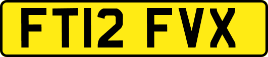 FT12FVX
