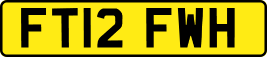 FT12FWH