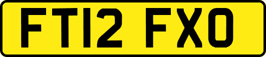 FT12FXO