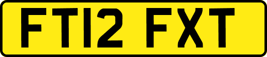 FT12FXT