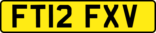 FT12FXV