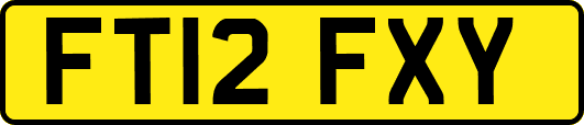 FT12FXY