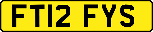 FT12FYS