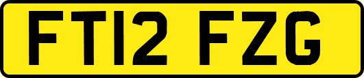 FT12FZG