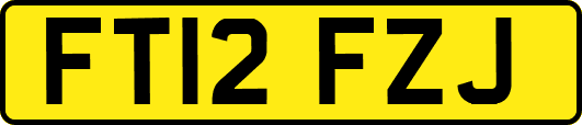 FT12FZJ