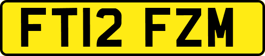 FT12FZM