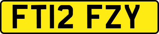 FT12FZY
