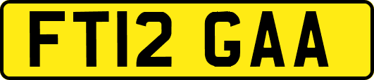 FT12GAA
