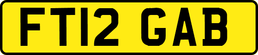 FT12GAB
