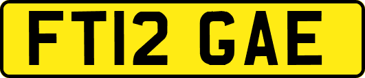 FT12GAE