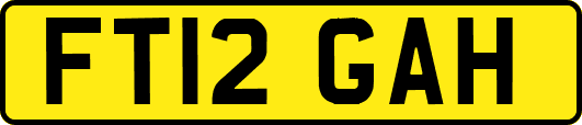 FT12GAH