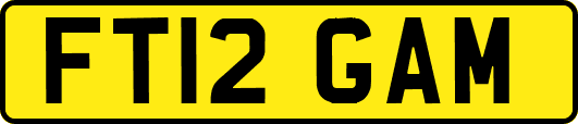 FT12GAM