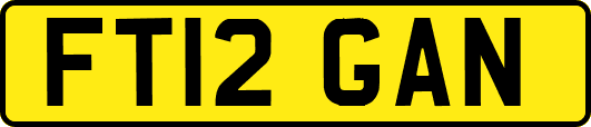 FT12GAN