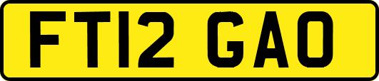 FT12GAO