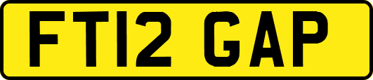 FT12GAP