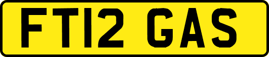 FT12GAS