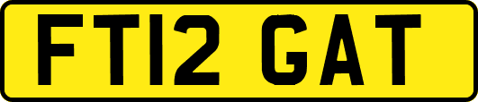 FT12GAT