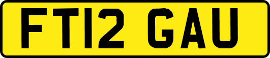 FT12GAU