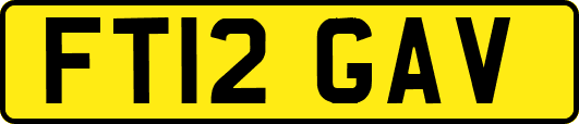 FT12GAV