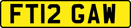 FT12GAW