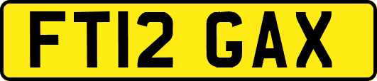 FT12GAX