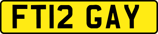 FT12GAY