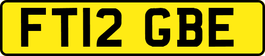 FT12GBE