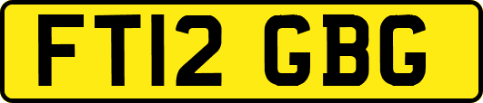 FT12GBG