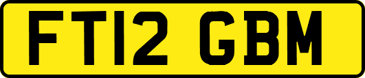 FT12GBM