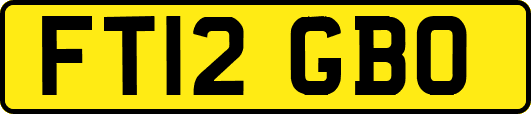 FT12GBO