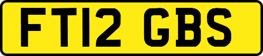 FT12GBS