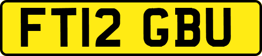 FT12GBU