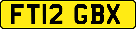 FT12GBX