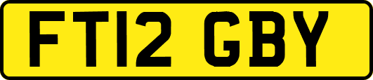 FT12GBY