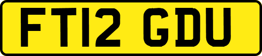 FT12GDU