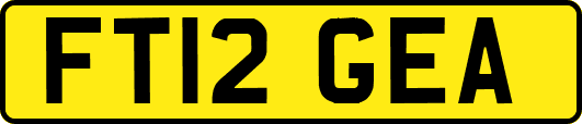FT12GEA