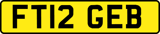 FT12GEB