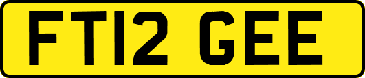 FT12GEE
