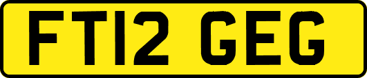 FT12GEG