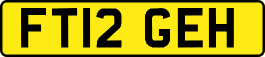 FT12GEH