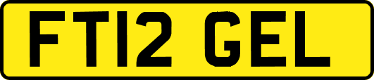 FT12GEL