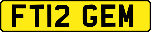 FT12GEM