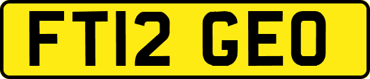 FT12GEO