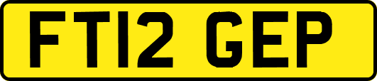 FT12GEP