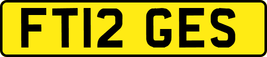 FT12GES