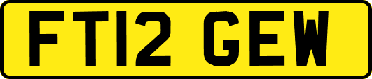 FT12GEW