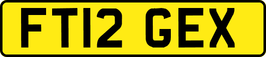 FT12GEX
