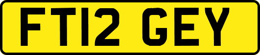 FT12GEY
